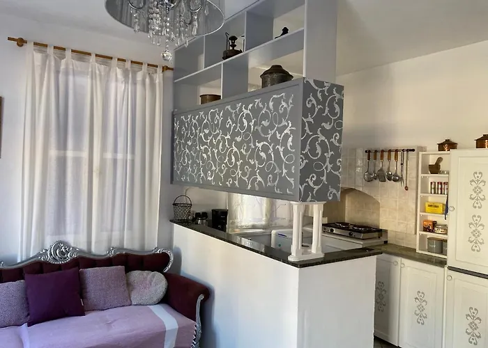 The Bougainvillea House *