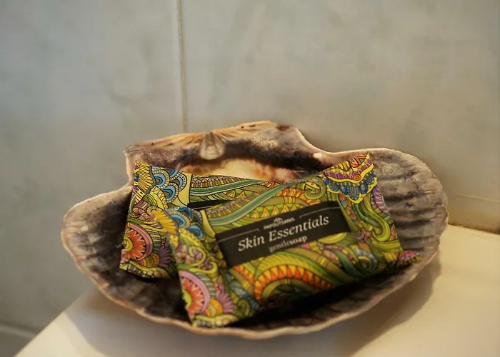 The Bougainvillea House Apartment