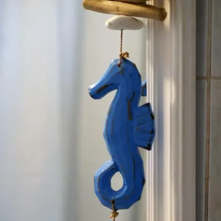 The Bougainvillea House *